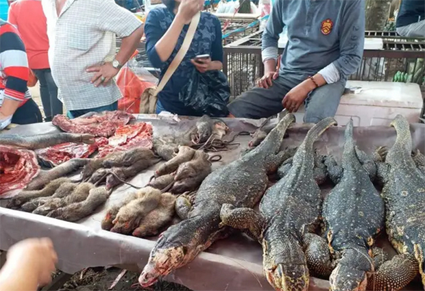 Не маре за Корону, продају мелеме о слепог миша: Широм Азије и даље раде пијаце за животиње (ВИДЕО)